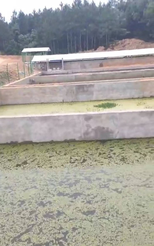 湖南曝气生物滤池陶粒滤料项目