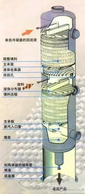 填料塔剖面图