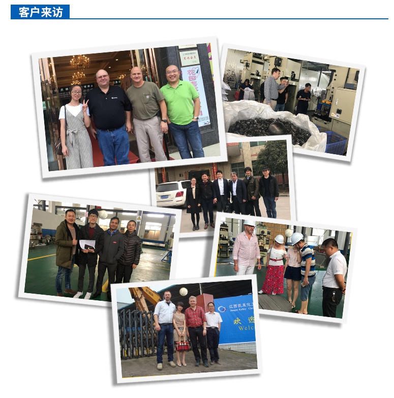 塑料鲍尔环填料研发公司团队
